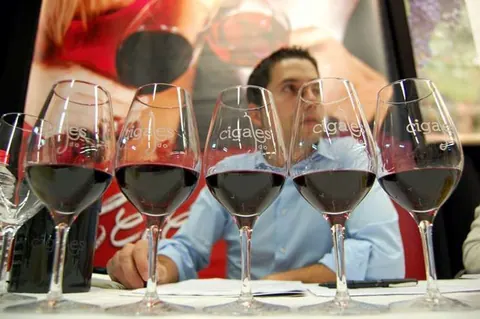Cigales califica la añada 2015 mañana miércoles con los lectores de el norte de Castilla