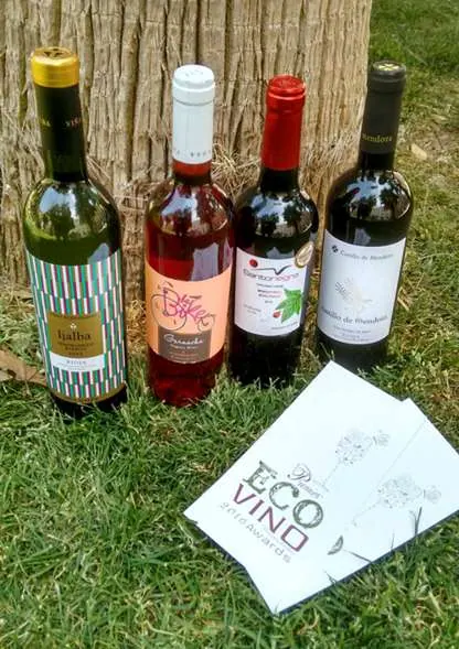 Bodegas Viña Ijalba, Bodegas Quaderna Vía, Bodegas San Dionisio y Bodegas Castillo de Mendoza se hacen con…