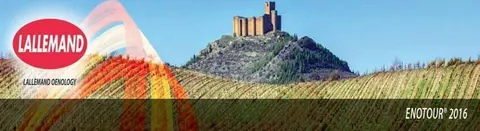 El Enotour 2016 de Lallemand BIO vuelve a Logroño para hablar de uva, vino y mercados