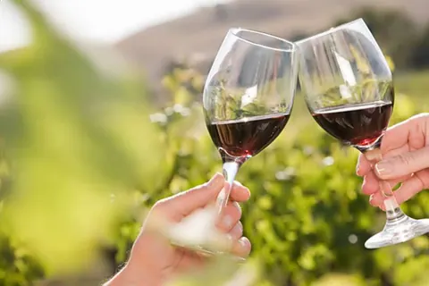Tres Master of Wine participan este jueves en Logroño en el Enotour 2016 de Lallemand BIO