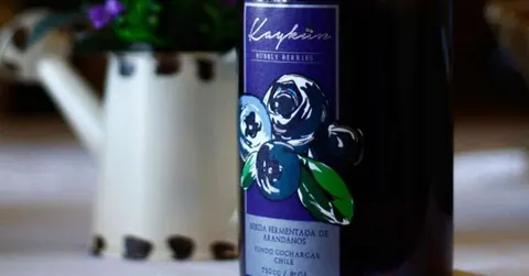 Brexit abre oportunidades para el espumante chileno de uvas patrimoniales de Itata