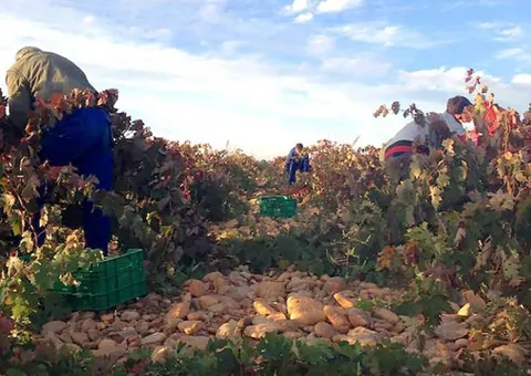 Dos nuevas bodegas se incorporan a la D.O. Toro