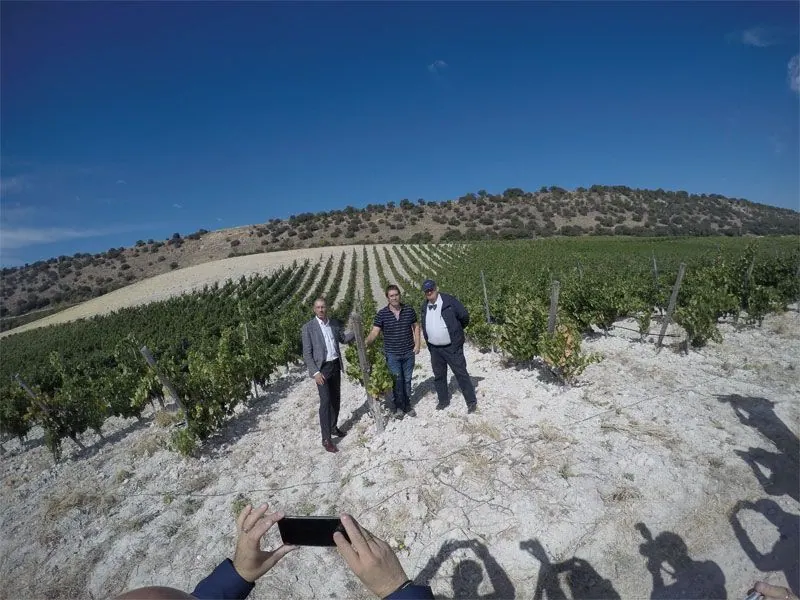 Bodega Quinta Sardonia