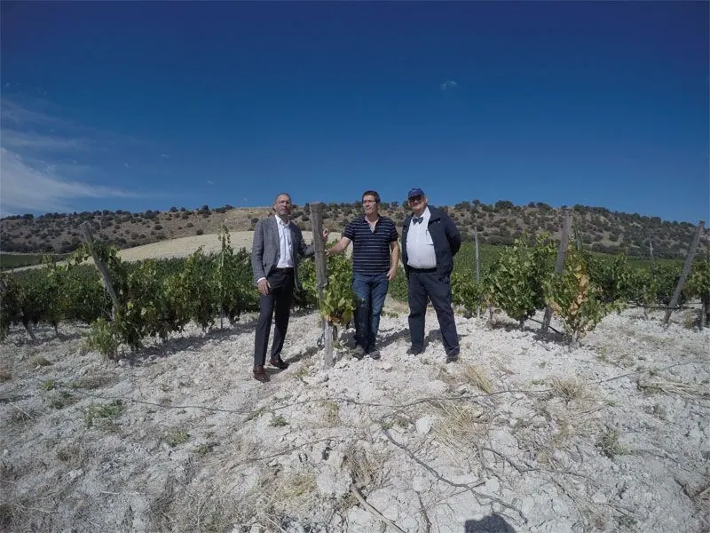 Bodega Quinta Sardonia