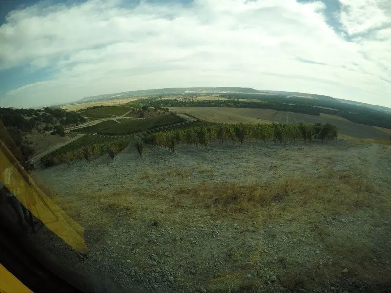 Bodega Quinta Sardonia