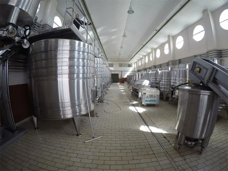 Bodega Quinta Sardonia