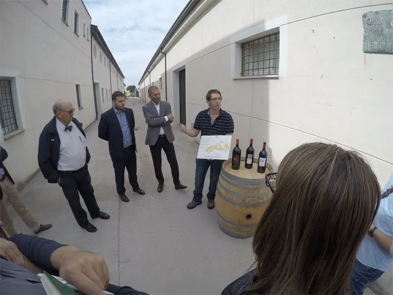 Bodega Quinta Sardonia