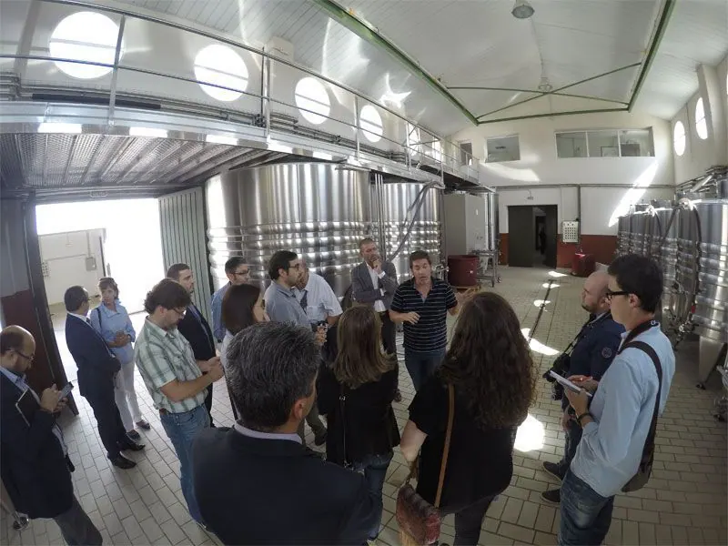 Bodega Quinta Sardonia