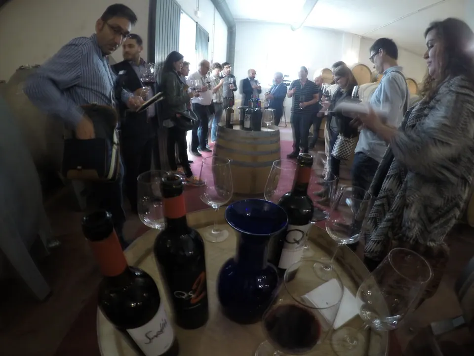 Bodega Quinta Sardonia