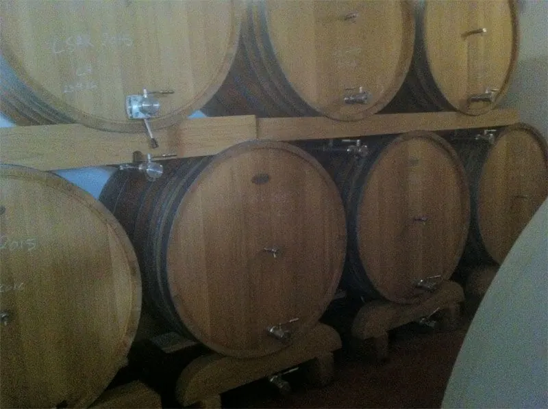 Bodega Quinta Sardonia