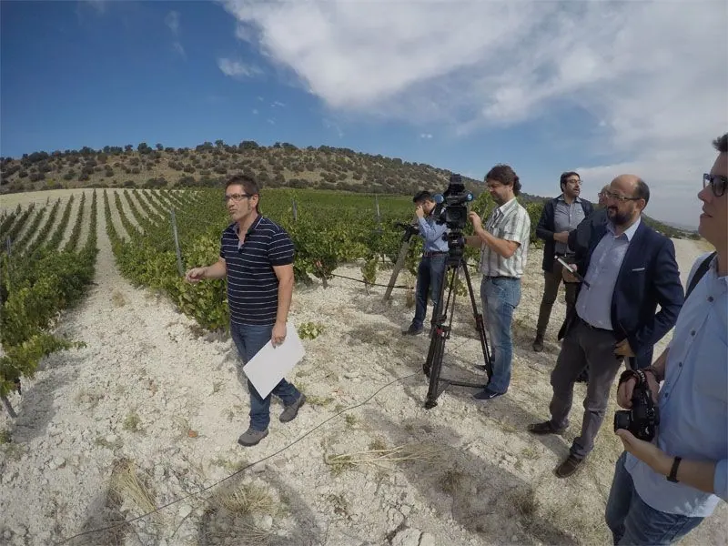 Bodega Quinta Sardonia