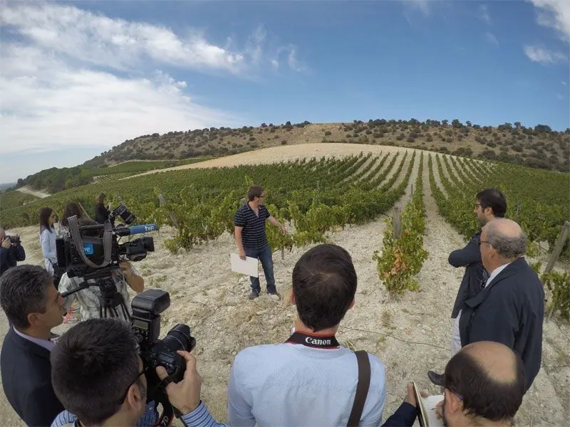 Bodega Quinta Sardonia