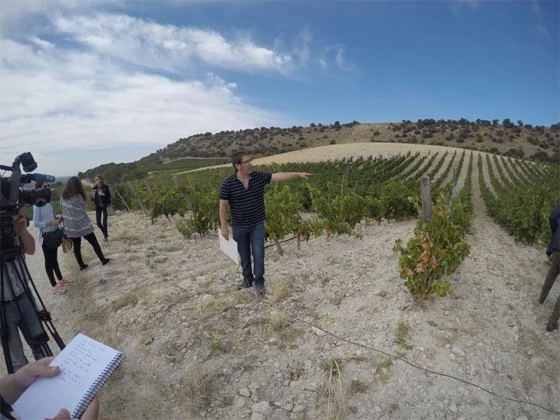 Bodega Quinta Sardonia