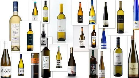 Albariños al Mundo Holanda 2016