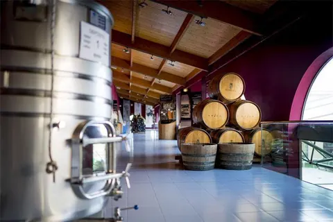 Las Bodegas de Grupo Matarromera ofrecerán actividades especiales por el Día Europeo del Enoturismo