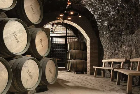 La Ruta del Vino de Rueda continúa mostrando indicadores de crecimiento