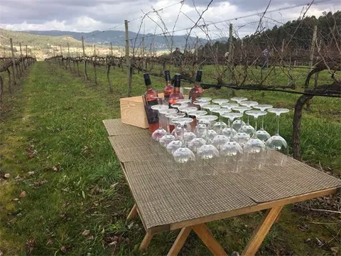 La Ruta del Vino de Rueda viaja a Amarante para celebrar sus I Jornadas de Enoturismo