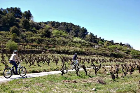 Semana Santa 17 – Codorníu propone 3 rutas enoturísticas inéditas para cavalovers
