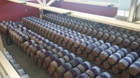 Un grupo de empresas se une para mejorar la competitividad de los vinos españoles