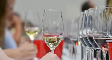 Vinexpo 2015-Salon Mondiale des Vins et des Spiritueux-Bordeaux-Gironde-France. Du 13 au 18 Juin 2015.