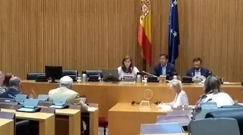 La Interprofesional del Vino de España defiende en el Congreso la especificidad del vino ante la futura…