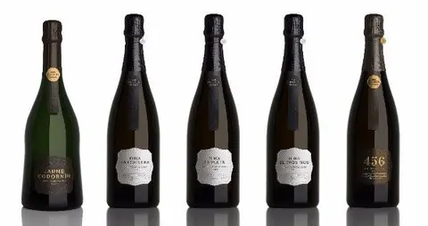 Codorniu lidera la nueva categoría de “Cavas de Paraje Calificado” aprobada por el Ministerio de Agricultura