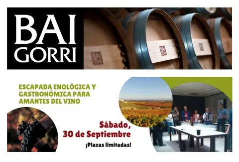 Experiencia enológica entre viñedos con Simón Peregrina, uno de los enólogos de Bodegas Baigorri
