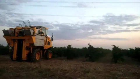 Ramón Bilbao da comienzo a la vendimia en su nueva Bodega de Rueda
