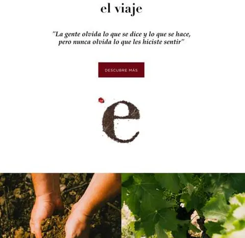 Envite​ ​lanza​ ​Envitewine,​ ​una web​ ​emocional​ ​que​ ​promueve​ ​la Viticultura​ ​de​ ​Conciencia
