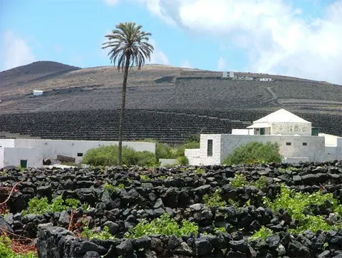 El Grifo, Lanzarote