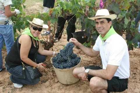 Riojatrek cumple 10 años en el sector del enoturismo