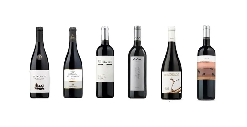 Vinos con nombre de mujer: vinoselección homenajea a bodegueras y enólogas en el Día de la Mujer Trabajadora