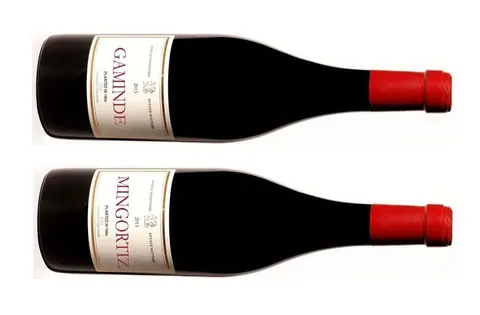 Gaminde y Mingortiz 2015: una nueva expresión del terroir