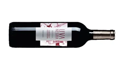 Cabernet Sauvignon Reserva de Bodegas Uva Negra