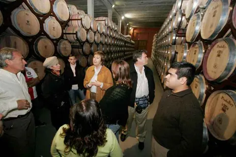 Ruta del Vino Ribera del Duero, la más deseada