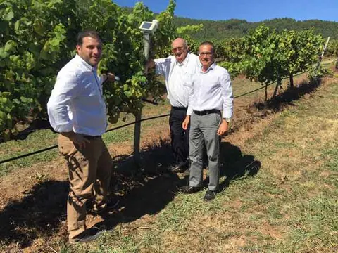 Terras Gauda reduce un 20% el impacto ambiental en el viñedo gracias a la información en tiempo real que…