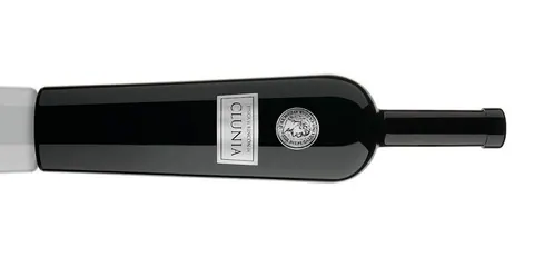 Los vinos de Clunia, en TopWineSpain, Madrid Fusión 2019