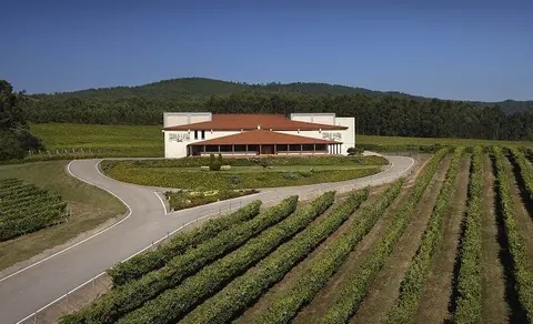 EL Grupo Terras Gauda marca un nuevo hito sellando una alianza estratégica con uno de los principales…