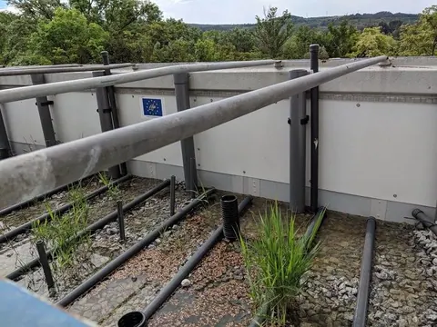 Éxito del proyecto pionero de economía circular con restos de corcho en la Bodega Codorníu