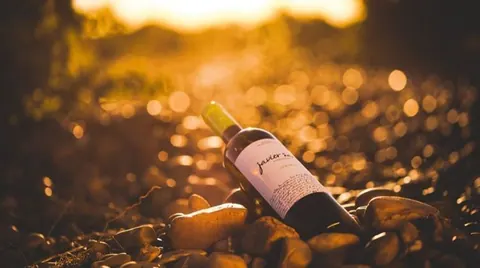 Bodega Javier Sanz lleva sus vinos a Prowein