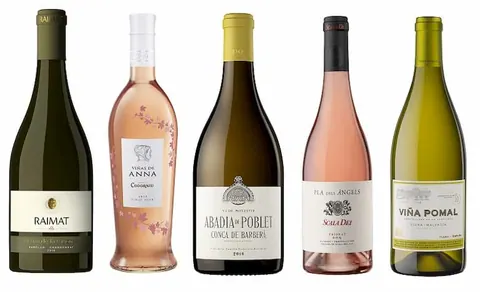 Los 5 vinos que no pueden faltar en tu mesa este verano