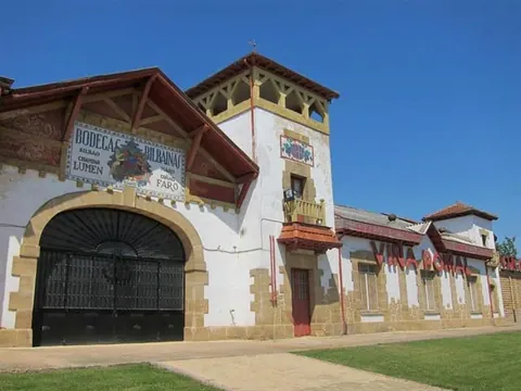 Bodegas Bilbaínas lidera un proyecto de I+D para predecir la cantidad y la calidad de la uva