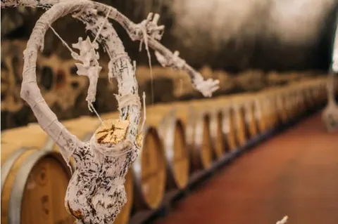 La Bodega Carlos Moro cuenta la historia de sus viñedos a través de la filosofía japonesa “Kintsugi”