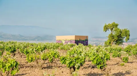 Finca Alto Cantabria de Bodegas Valdemar uno de los “viñedos singulares” certificados por el ministerio de…