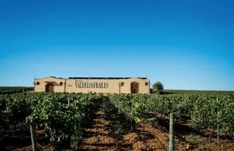 Veinte años rompiendo las reglas del vino