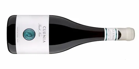 Clunia Pinot Noir un nuevo vino de altura