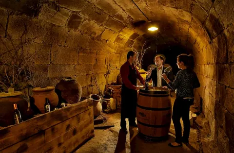 ACEVIN y las Rutas del Vino de España programan decenas de actividades para celebrar, el próximo 10 de…