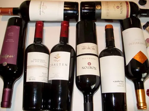 El éxito del Malbec en Argentina ha inspirado a más de 10 países a plantar esta variedad de uva