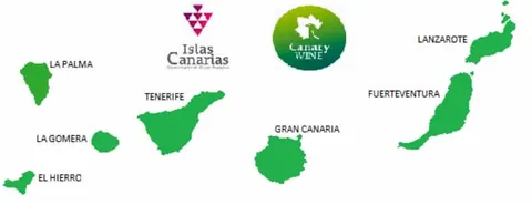Puesta en marcha de la Canary Wine Academy, la mayor plataforma de conocimiento de los Vinos Canarios