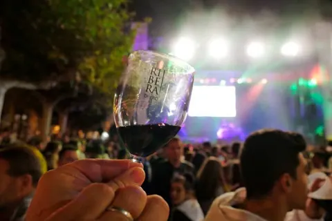 Más de 15.000 personas disfrutaron de la exitosa III Gran Fiesta de la Vendimia de Ribera del Duero